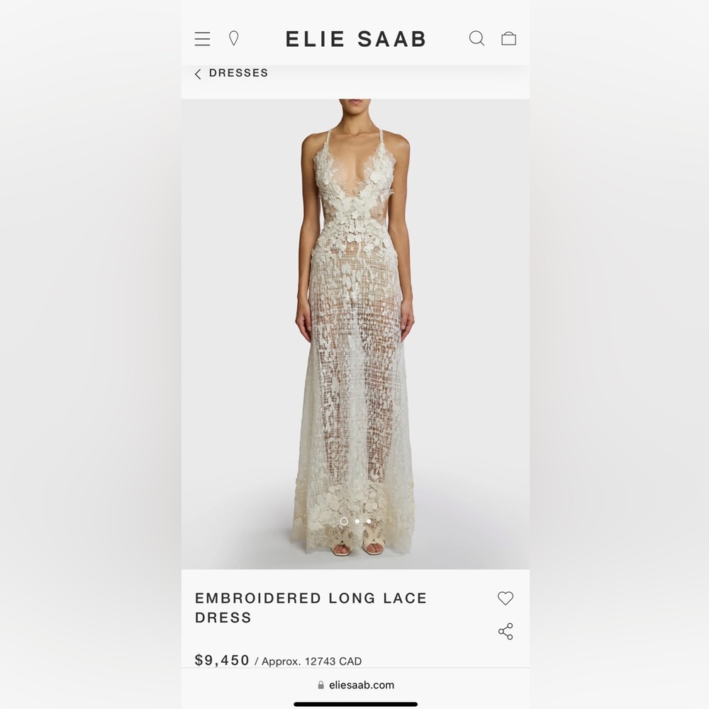 Elie Saab 2024 Ready to Wear Silk embroidered dress.
